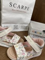 Geox shoes
