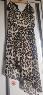 Women's dress